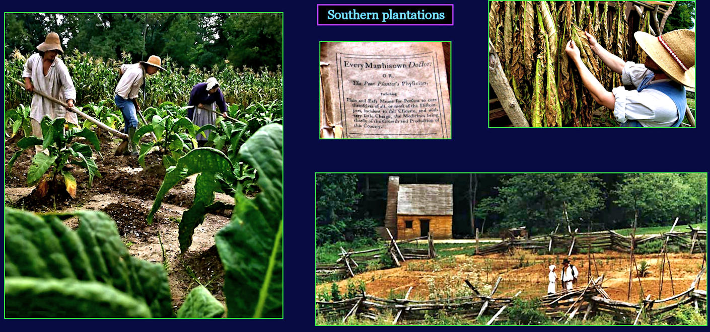 Virginia tobacco plantations, 1700